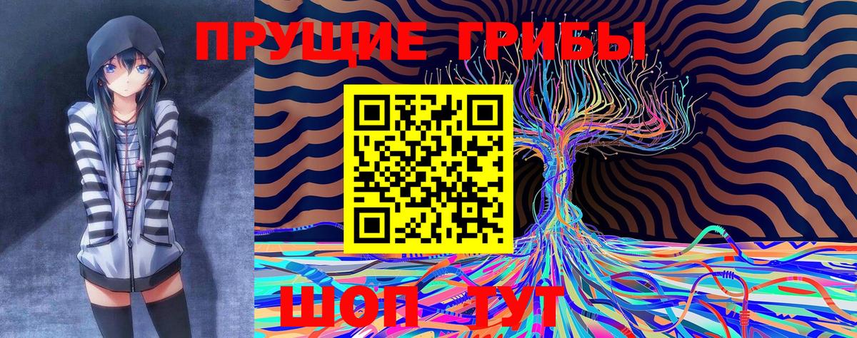 Псилоцибиновые грибы Psilocybine cubensis  купить  цена  Нефтекумск  Вход с VPN 